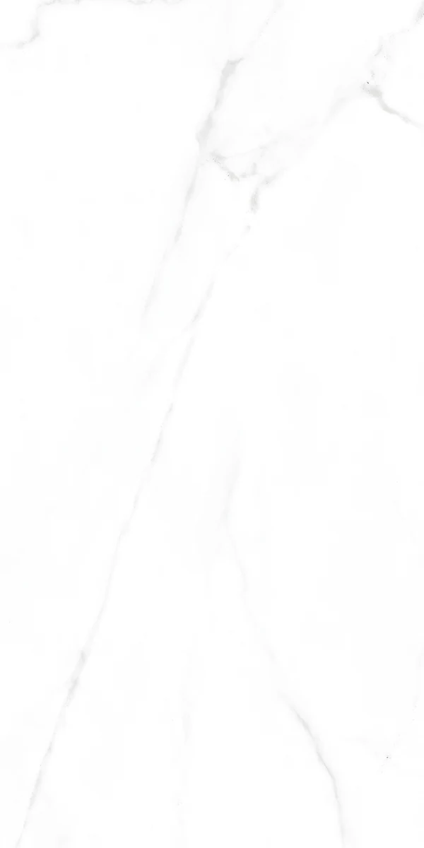 face 7